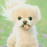 Simge