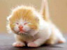 Simge