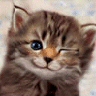 Simge