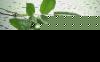 Simge